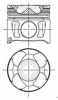 NüRAL 87-146100-00 Piston